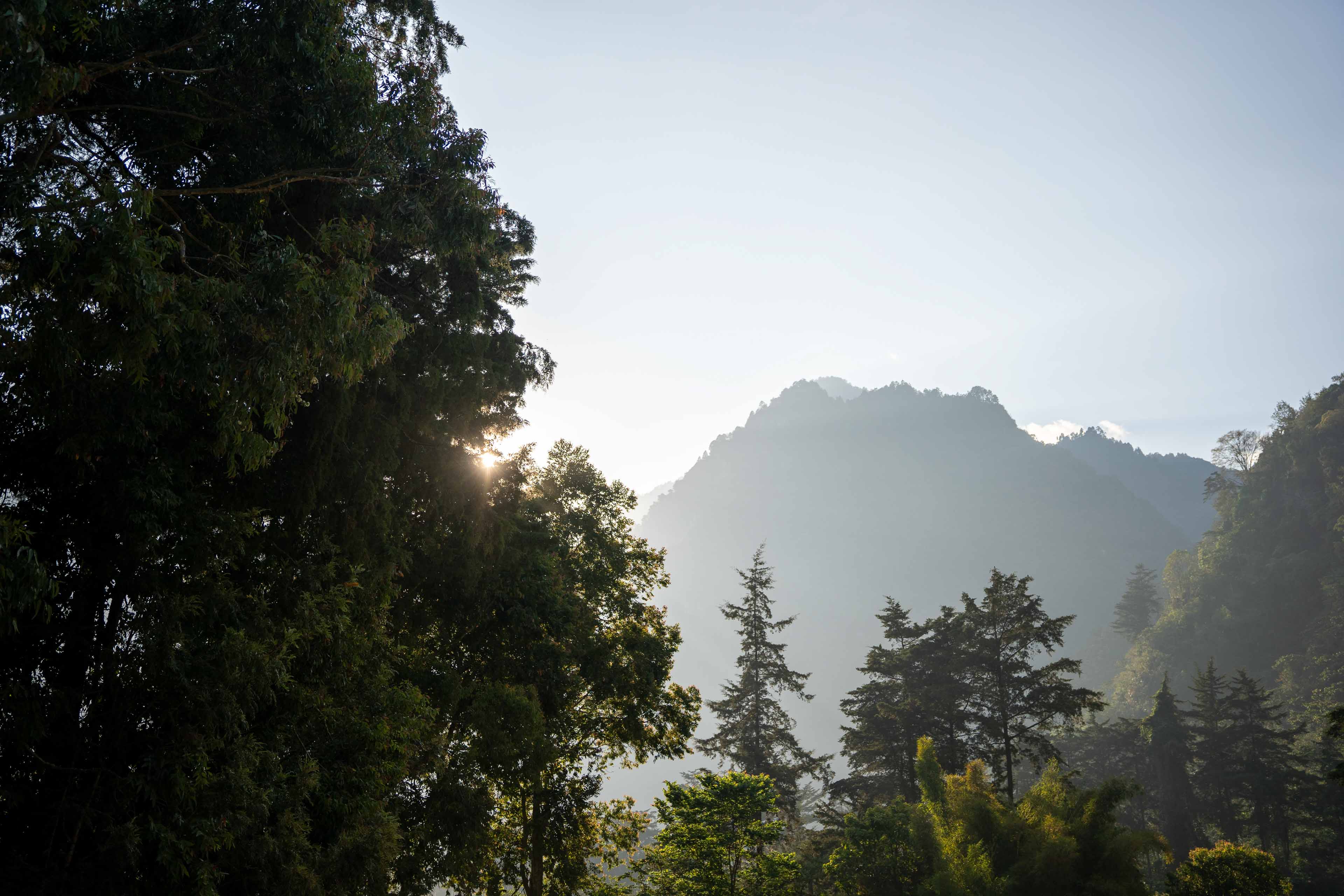 mountain view of the coffee farm