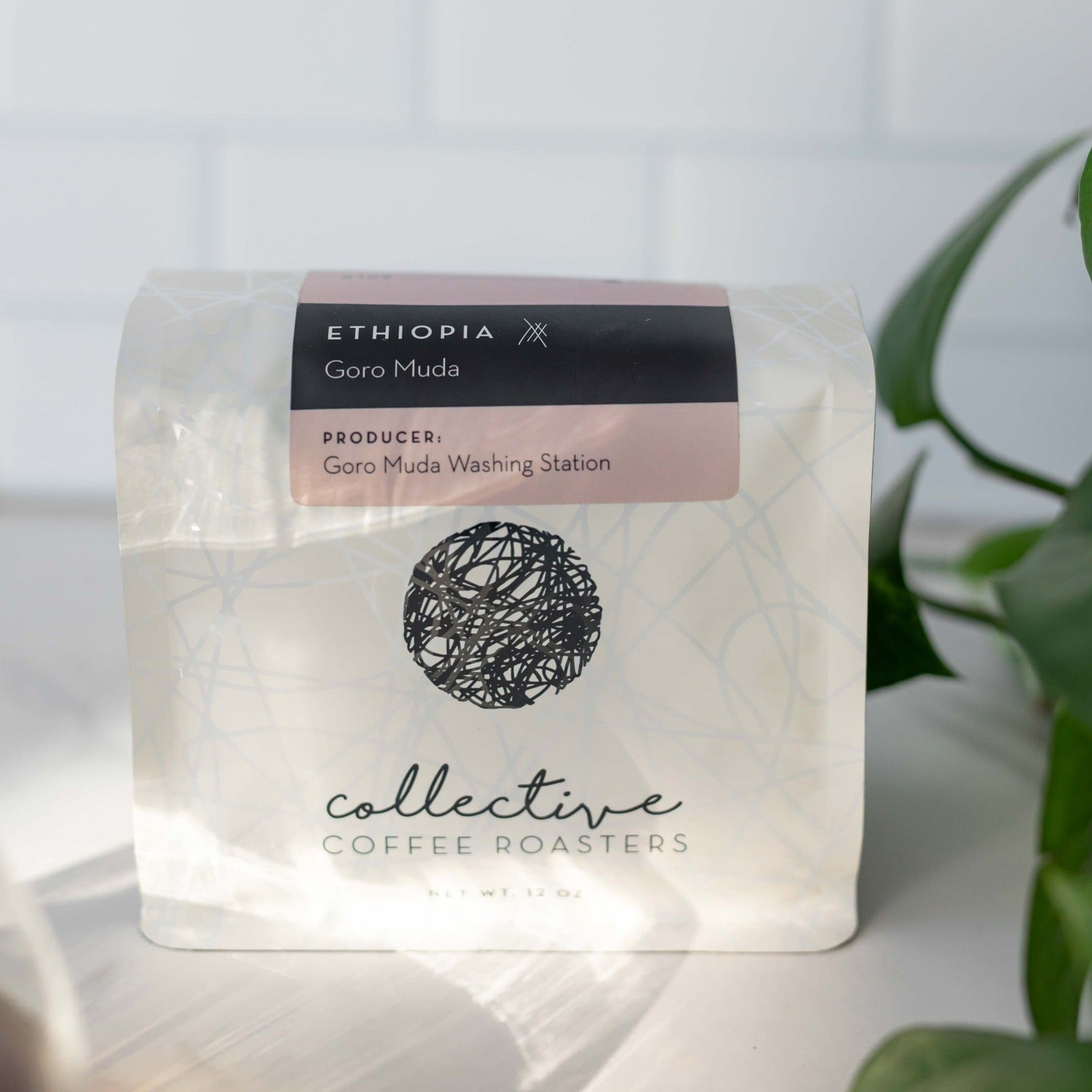 Ethiopia Gora MudaEthiopia Gora MudaCollective Coffee RoastersThis elegant natural coffee from Guji, Ethiopia is produced by the Gora Muda washing station. With notes of strawberry and vanilla soda, this coffee reflects the car